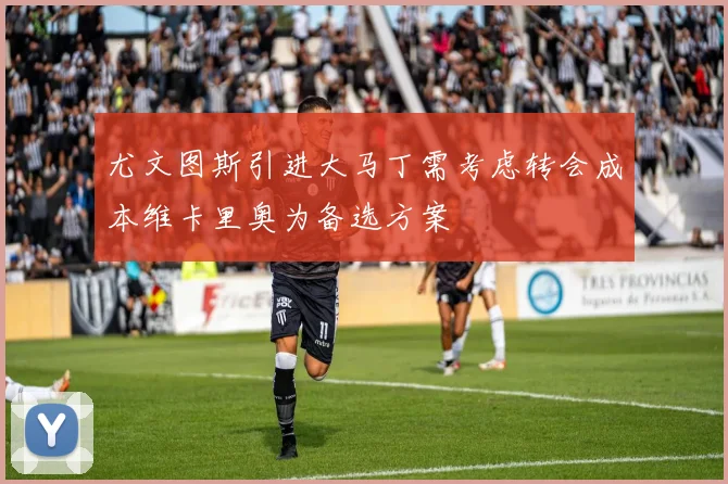 尤文图斯引进大马丁需考虑转会成本维卡里奥为备选方案