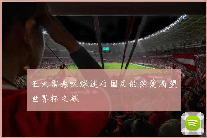 王大雷感叹球迷对国足的热爱渴望世界杯之旅